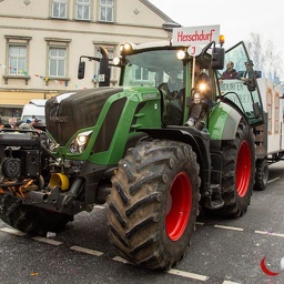 Schirgiswalder Faschingsumzug